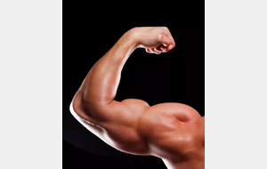 LES GROS BRAS MONTRENT LEURS MUSCLES