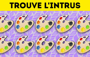 CHERCHEZ LES INTRUS