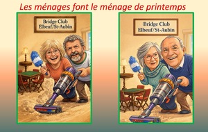LES MÉNAGES FONT LE MÉNAGE DE PRINTEMPS