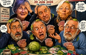 DANS LES CHOUX !
