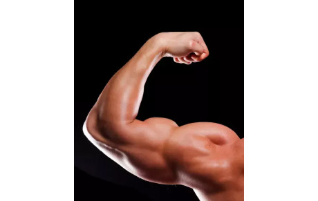 LES GROS BRAS MONTRENT LEURS MUSCLES